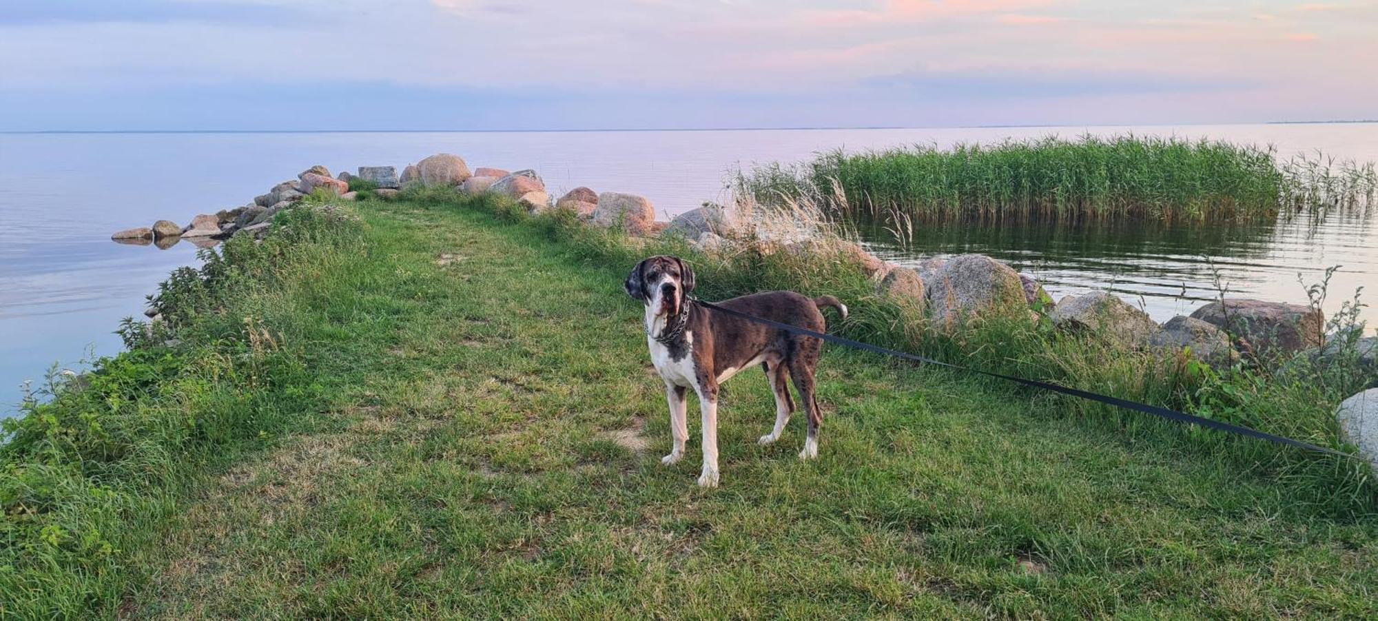 Siedlisko Natura Villa Sulomino Bagian luar foto